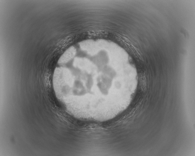 X0000115450770200912161513