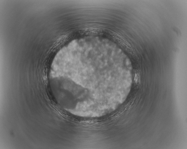 X0000115450771200912161513