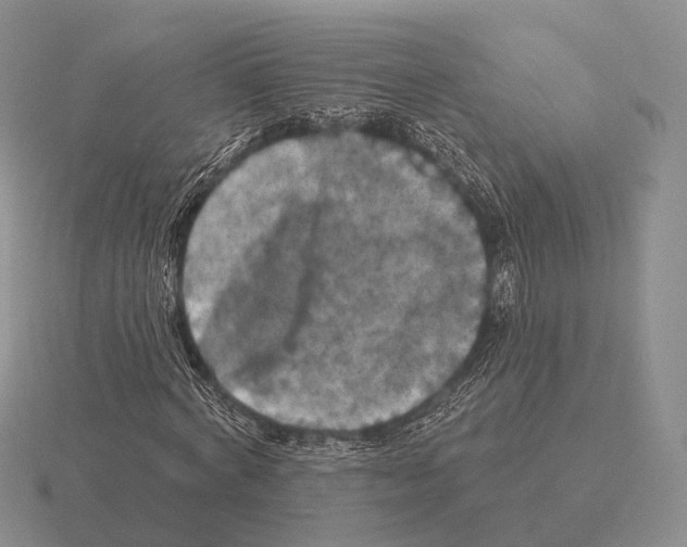 X0000115450772200912161513