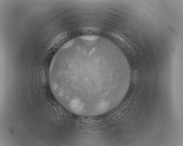 X0000115450774200912161513