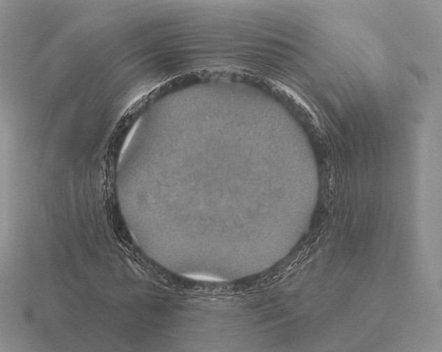 X0000115450775200912161513