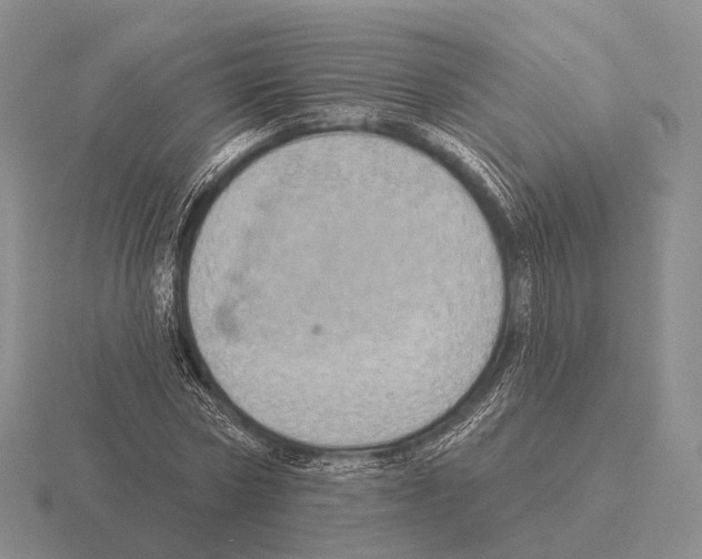 X0000115450778200912161513