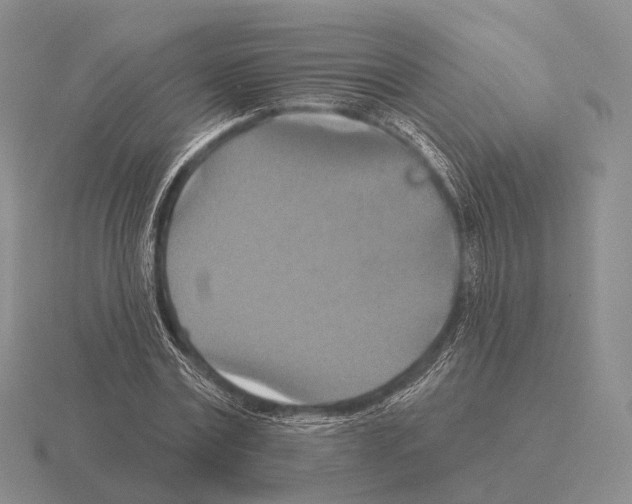 X0000115450779200912161513