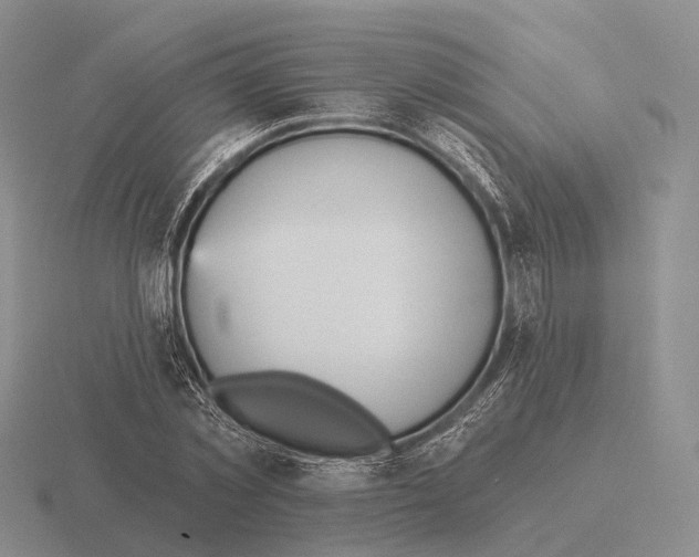 X0000115450781200912161513