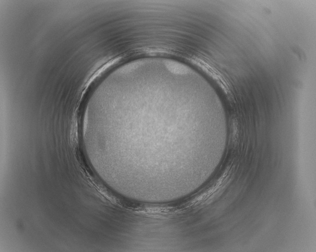 X0000115450782200912161513