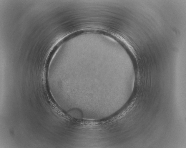 X0000115450783200912161513