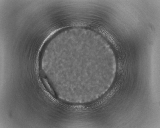 X0000115450784200912161513