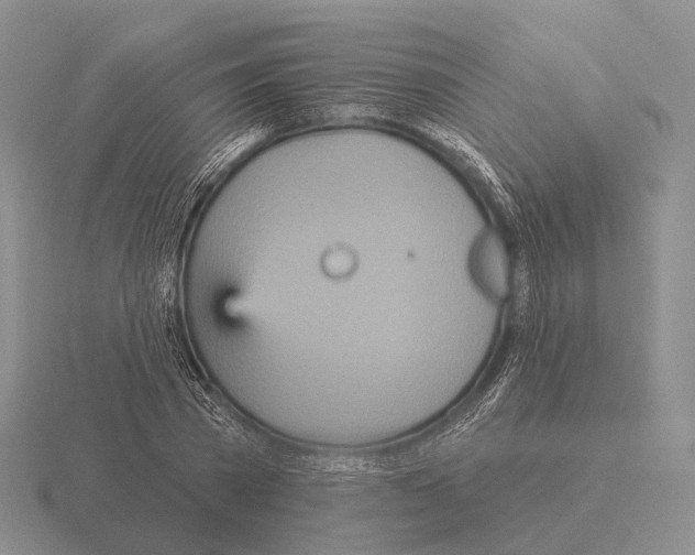 X0000115450785200912161513