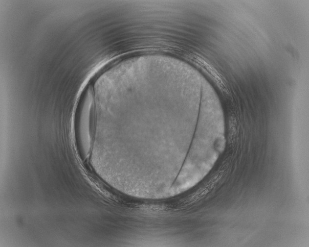 X0000115450788200912161513