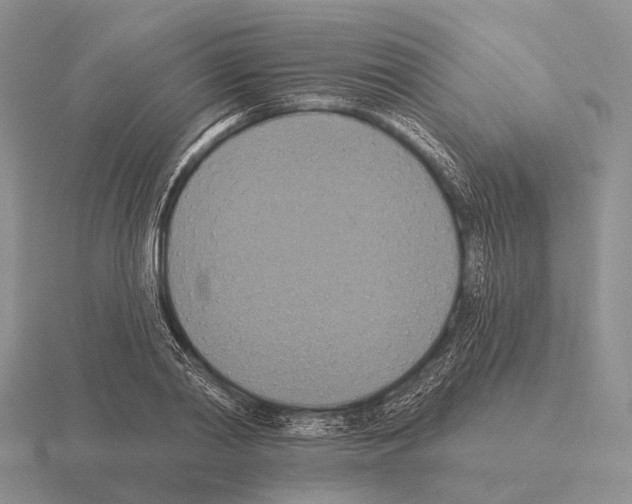 X0000115450790200912161513