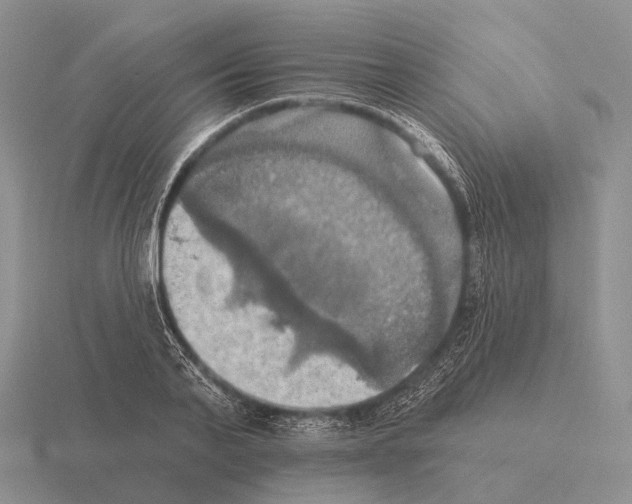 X0000115450791200912161513