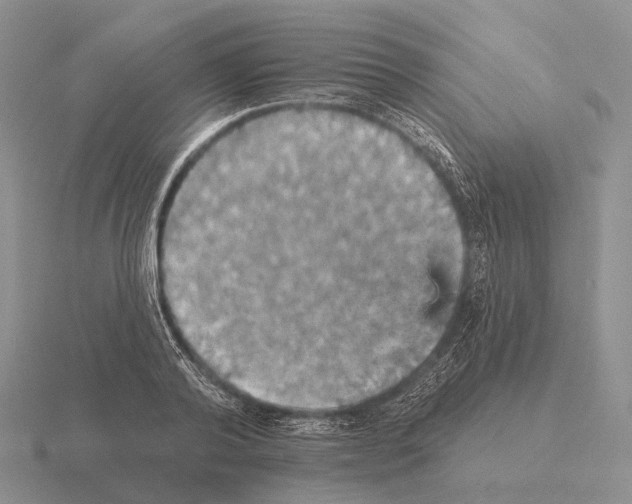 X0000115450792200912161513