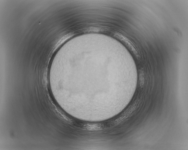 X0000115450794200912161513