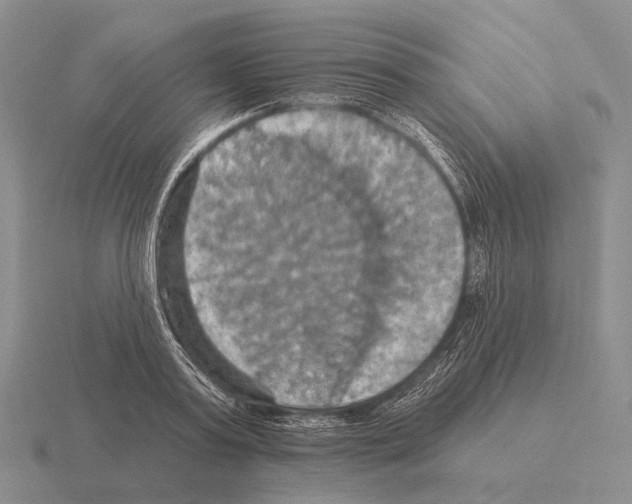 X0000115450795200912161513