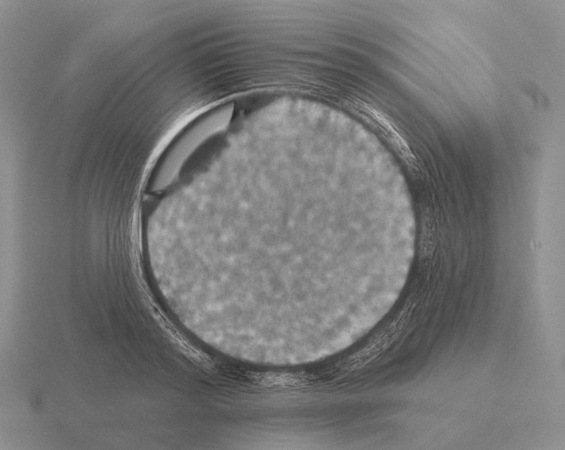 X0000115450796200912161513