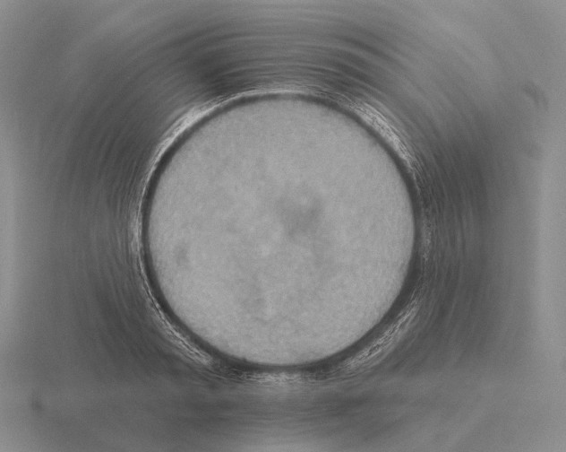 X0000115450797200912161513