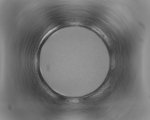 X0000115450798200912161513