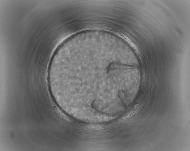 X0000115450799200912161513