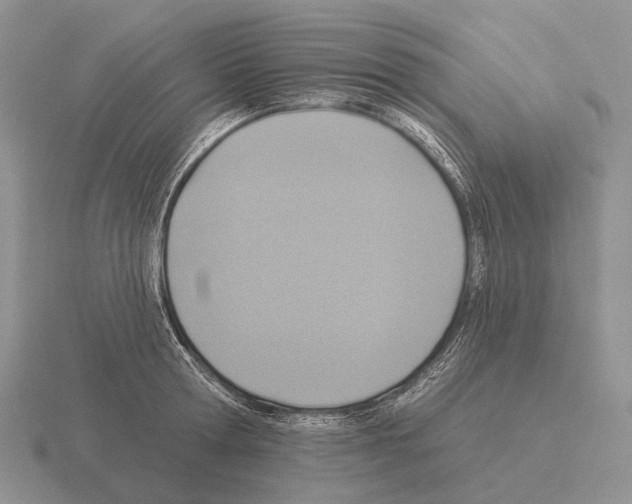 X0000115450802200912161513