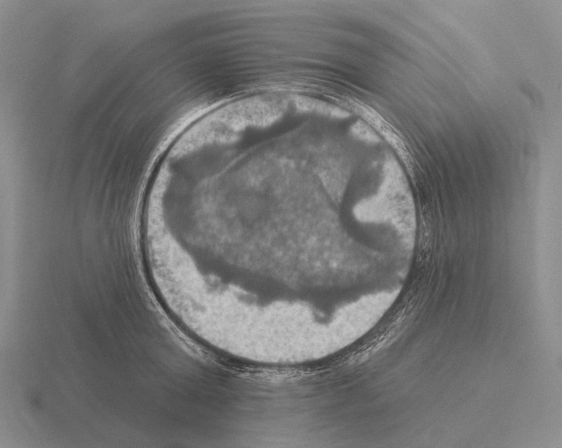 X0000115450803200912161513