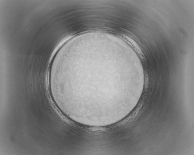 X0000115450804200912161513