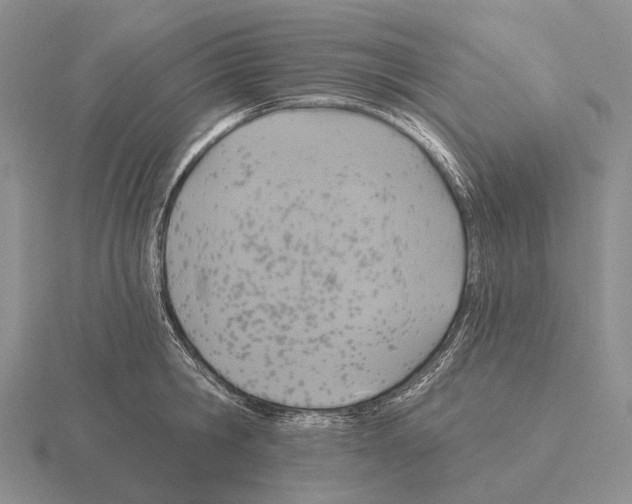 X0000115450806200912161513