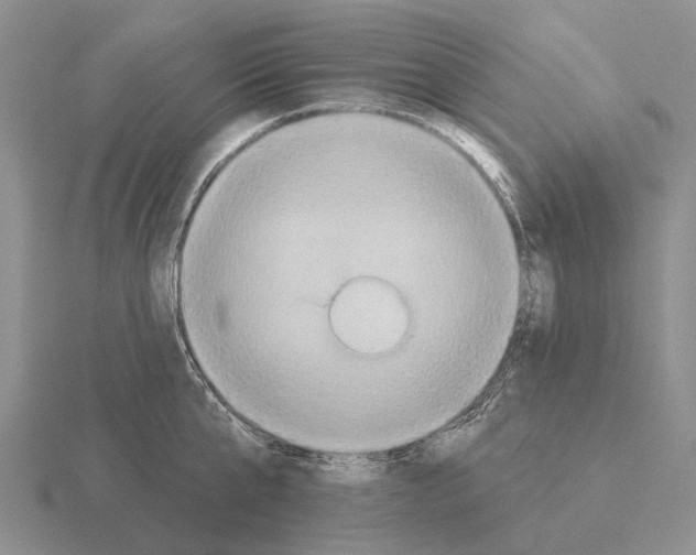 X0000115450807200912161513