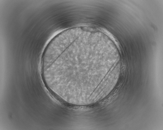 X0000115450811200912161513