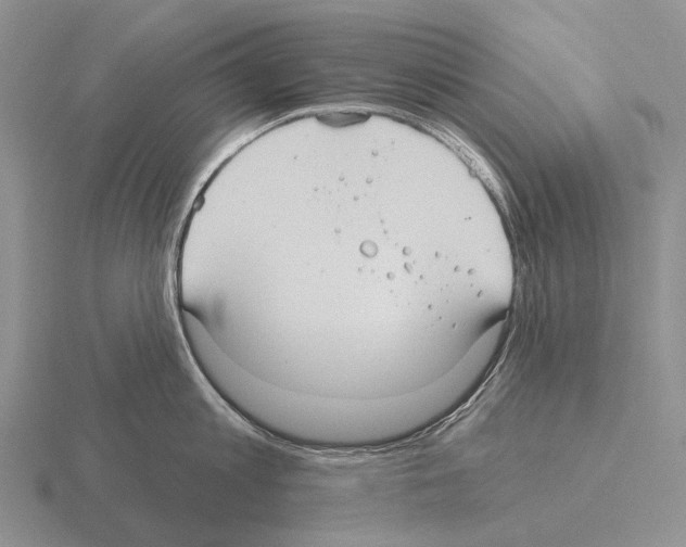 X0000115450813200912161513