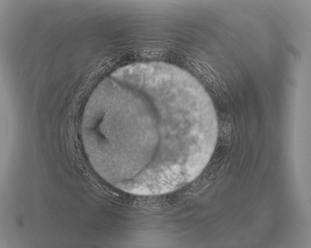 X0000115450817200912161512