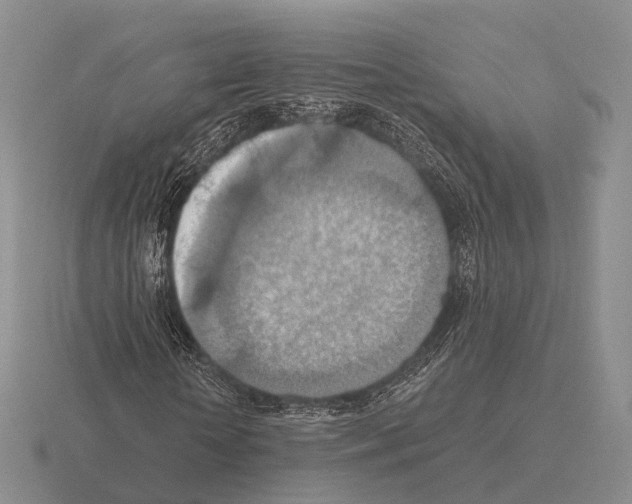 X0000115450818200912161512