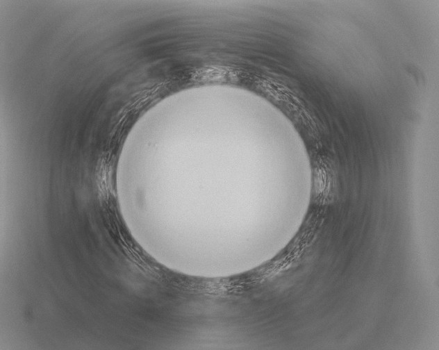 X0000115450820200912161512