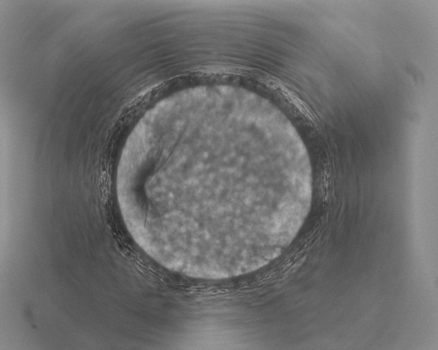 X0000115450821200912161512