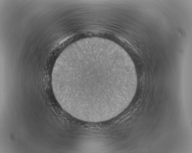 X0000115450822200912161512