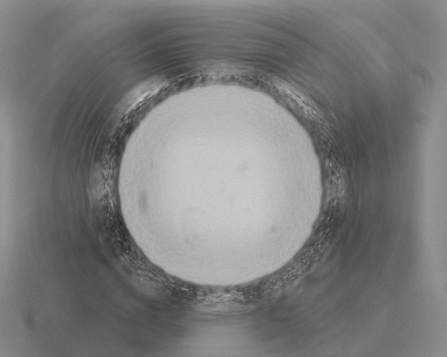 X0000115450824200912161512