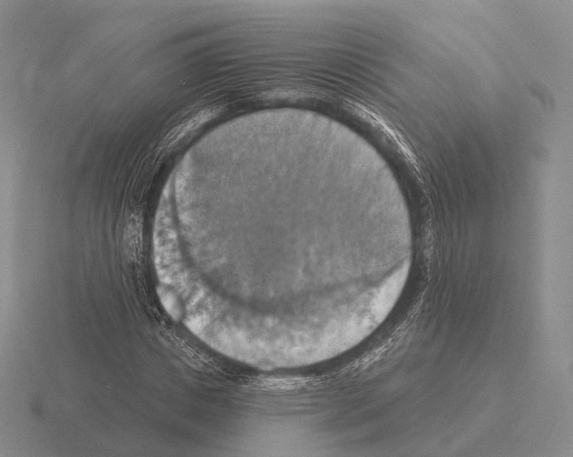 X0000115450825200912161512