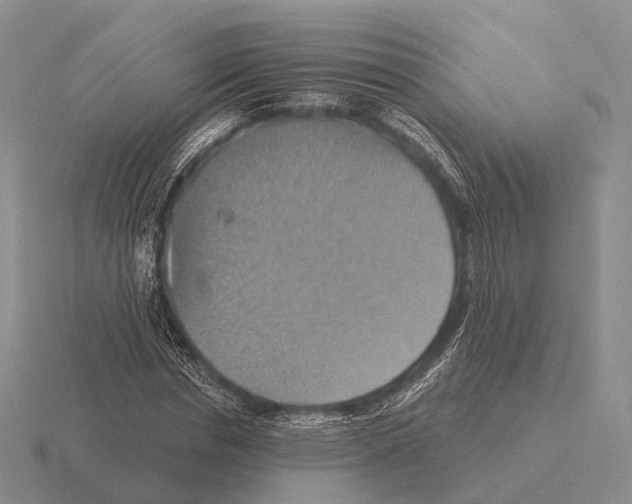 X0000115450826200912161512