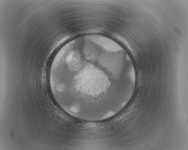 X0000115450827200912161512