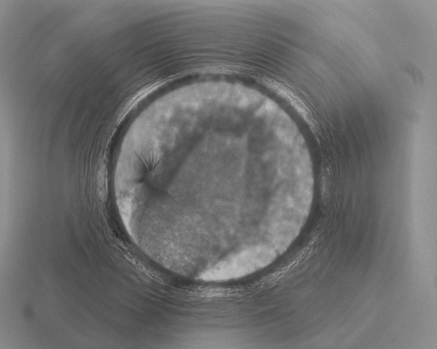 X0000115450829200912161512