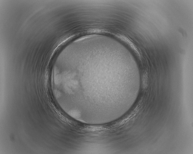 X0000115450831200912161512