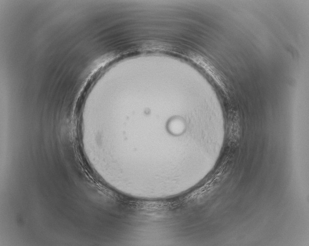 X0000115450832200912161512