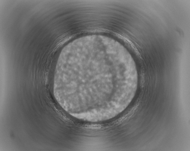 X0000115450833200912161512