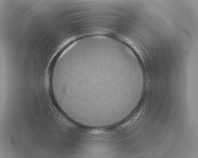 X0000115450835200912161512