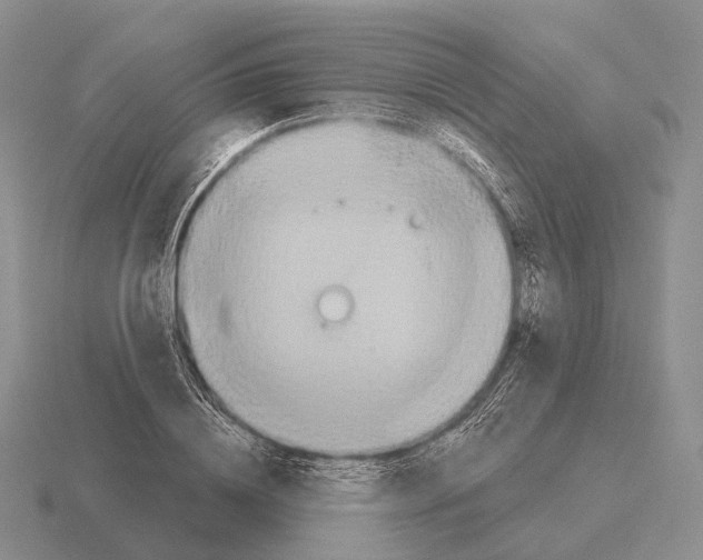 X0000115450836200912161512