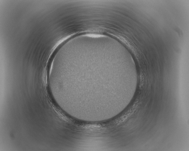 X0000115450838200912161512