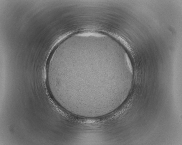 X0000115450839200912161512