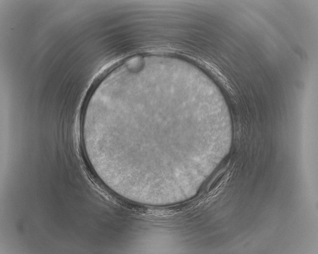 X0000115450840200912161513