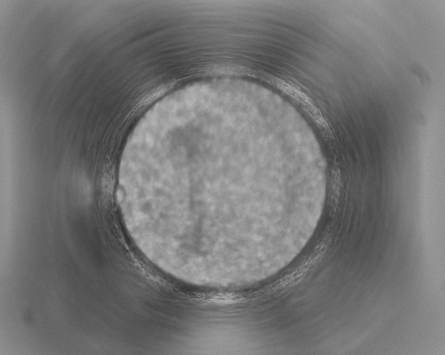 X0000115450841200912161513