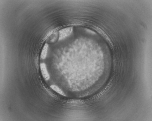 X0000115450842200912161513