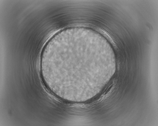 X0000115450844200912161513